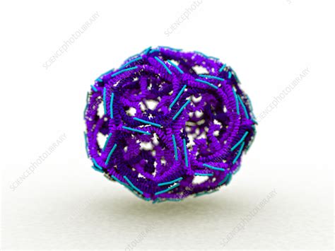 Clathrin molecule , illustration - Stock Image - C056/2965 - Science Photo Library