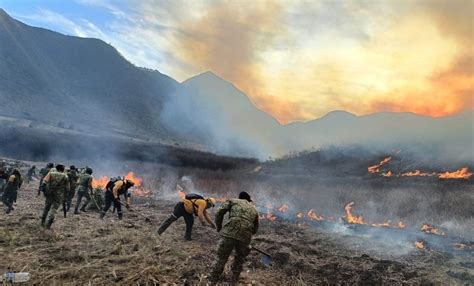 Extienden Acciones De Combate A Incendios Forestales En Veracruz