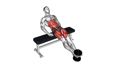 Weighted Twisting Crunch (On Bench) (Male) – Video Exercise Guide & Tips