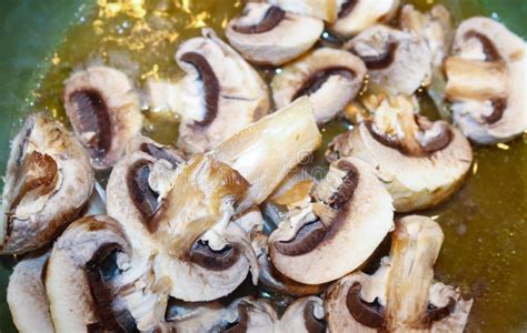 Champignons Coupés En Tranches Photo stock Image du nourriture