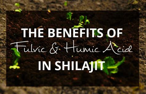 Fulvic And Humic Acid In Shilajit The Benefits