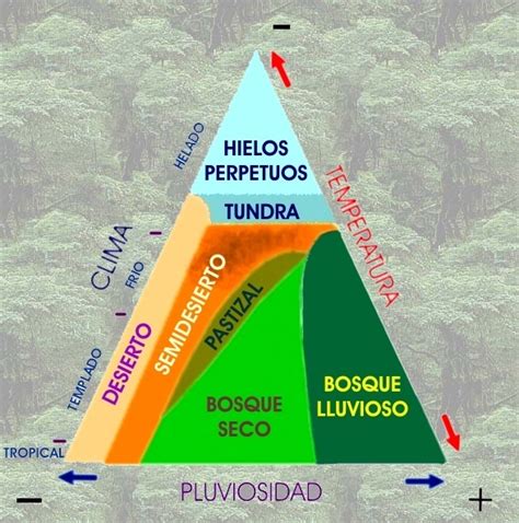 Biomas Bachillerato Biolog A Y Ciencias De La Tierra Y Del Medio 130944