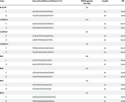 primer sequences  real time reverse transcription pcr analysis