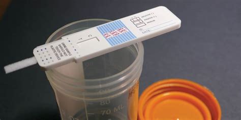 How To Dilute A Drug Test For Opiates Recovery Realization