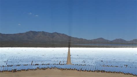 The Race to Build Solar Power in the Desert — and Protect Rare Plants ...