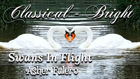 Swans In Flight Asher Fulero Classical Bright Youtube