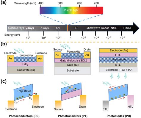 Classification Of Perovskite Photodetectors A The Detection Wavelength