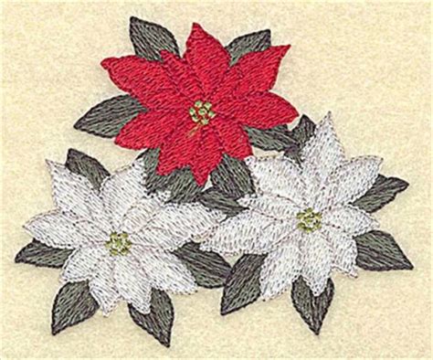 Colored Poinsettias Machine Embroidery Design Embroidery Library At