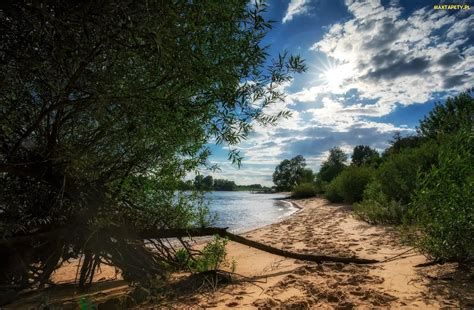 Tapety zdjęcia Niemcy Szlezwik Holsztyn Drzewa Brzeg Piasek