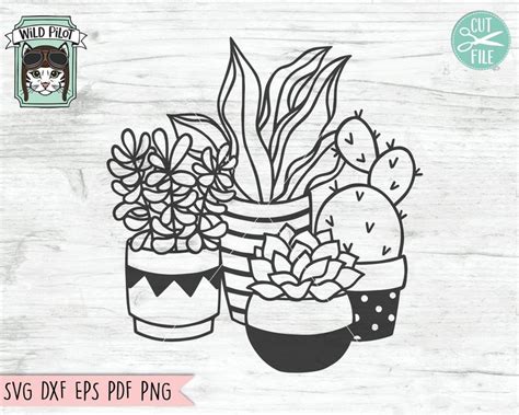 Cactus Svg File Succulent Svg File Plants Svg File Cactus Cut File