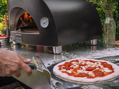 Moderno Oven 1 Pizza Oven For Domestic Use Alfaforni