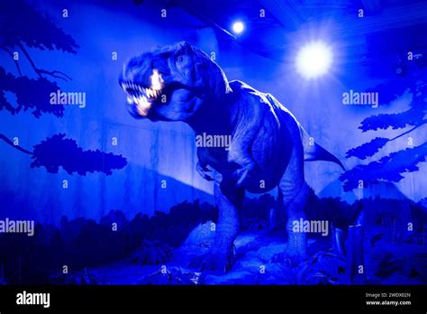 Animatronic Tyrannosaurus Im Ausstellungsraum Dinosaurier Im Natural