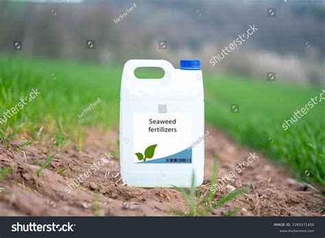 Fertilizer Made Seaweed Stock Photos - 2 Images | Shutterstock