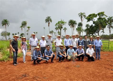 Abc Cerrado Sindicato Rural De Parana Ba Ms