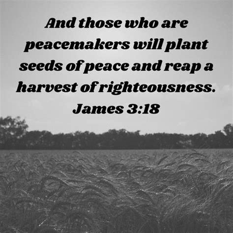 James 3 18 And Those Who Are Peacemakers Will Plant Seeds Of Peace And