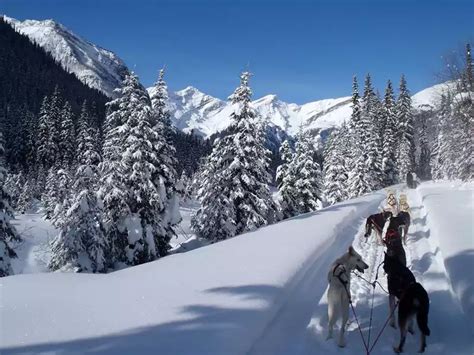 Canadian Rockies Winter Rail Trip | Best Seller for 2023/24