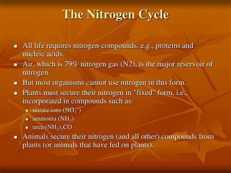 Ppt The Nitrogen Cycle Powerpoint Presentation Free Download Id