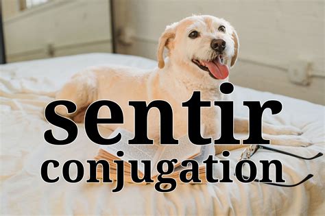 Sentir Conjugation In Spanish Every Tense With Examples