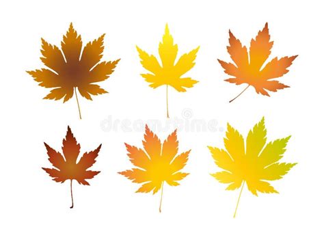 Set Of Colorful Realistic Autumn Leaves Stock Vector Illustration Of