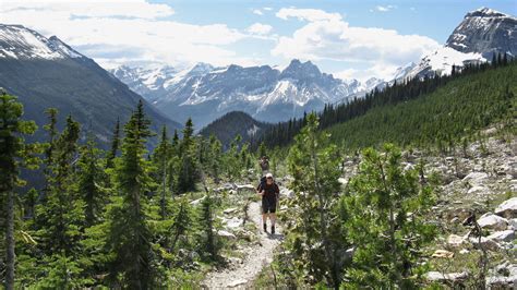 Canadian Rockies Hiking: Banff, Jasper, & More | REI Adventures