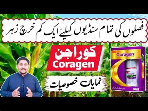 Coragen 20 SC A Useful Insecticide Coragen Insecticide Apna Kisan