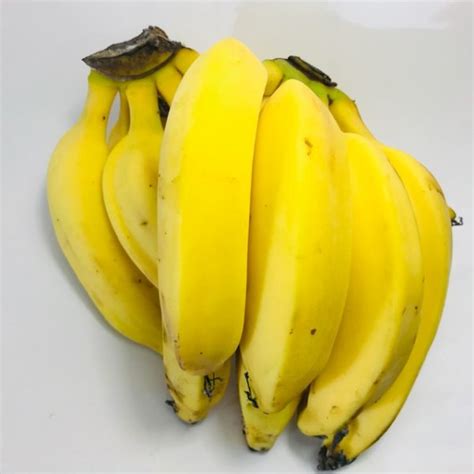 Lady Finger Bananas(- Local (Childers grown) - Farm Gate Express