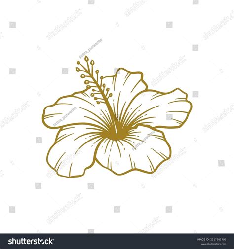 Hibiscus Flower Outline: Over 7,043 Royalty-Free Licensable Stock ...