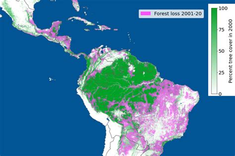 How to tackle the global deforestation crisis | MIT News ...