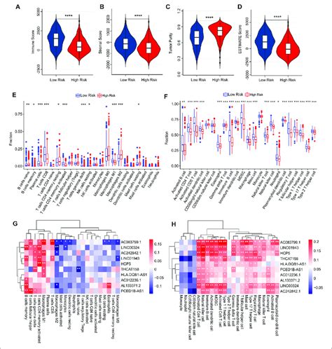 Immune Infiltration Analysis Of Cm Patients In Low And High Risk