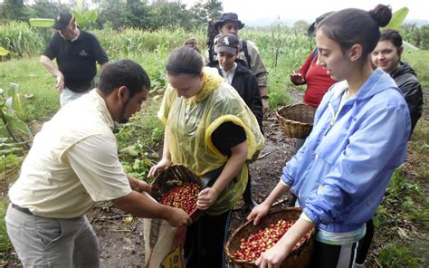 Matagalpa Coffee Tour | Matagalpa Tours Nicaragua