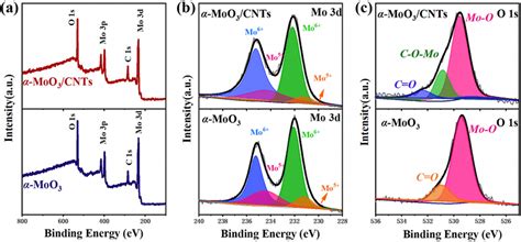 Xps Survey Spectrum Of α Moo3cnts Composite And Pure α Moo3 A Full