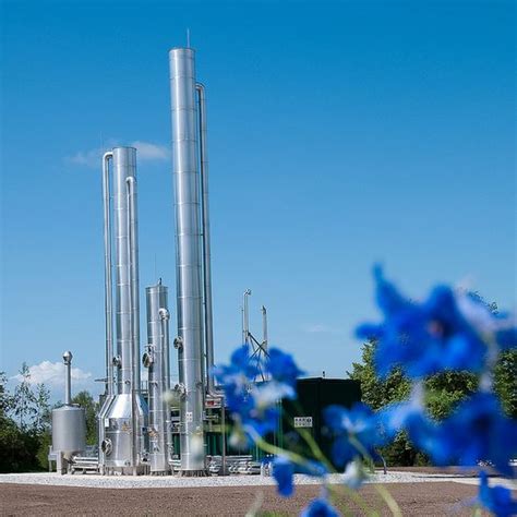 Blue Flowers Are In The Foreground And An Industrial Building In The