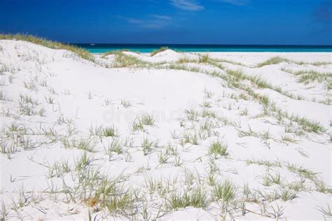 Pure white sand dunes stock photo. Image of holiday, landscape - 2643052