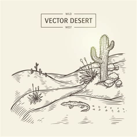 Cacti In Arizona Desert Sketch Royalty Free Vector Image