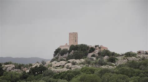 La Storia Millenaria Della Gallura Dai Fenici Ai Giorni Nostri