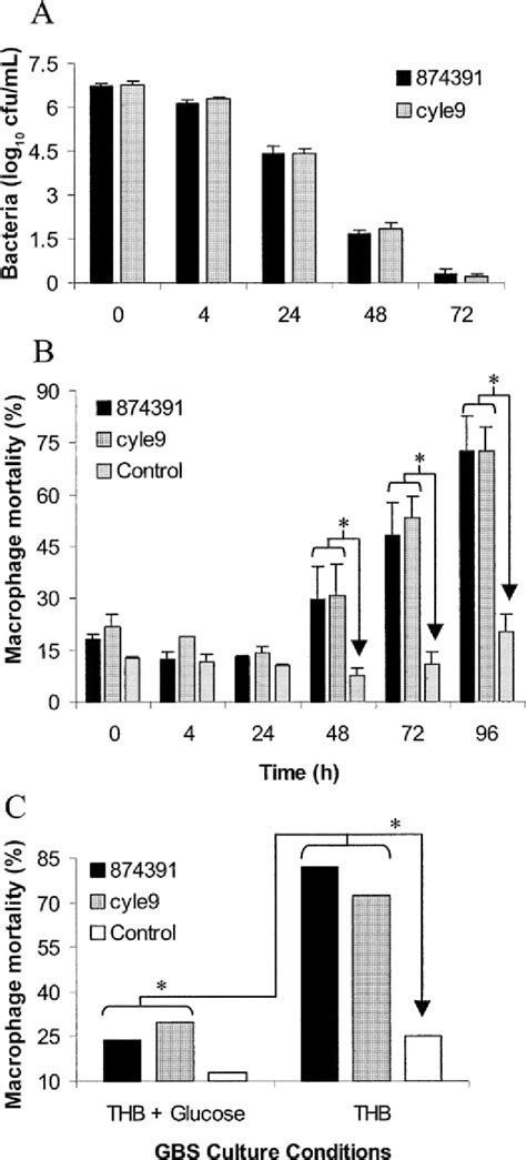 A Phagocytosis And Intracellular Survival Of Serotype Iii Group B