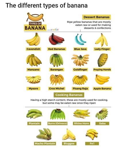 Different types of Bananas 🍌🍌 1:... - Melanesian Women Today | Facebook
