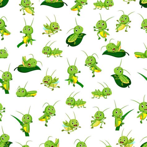 210+ Grasshopper Face Stock Illustrations, Royalty-Free Vector Graphics ...