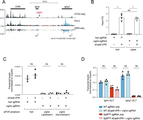 Dcas9 Vpr Cannot Stimulate Igh Transcription In The Absence Of Download Scientific Diagram