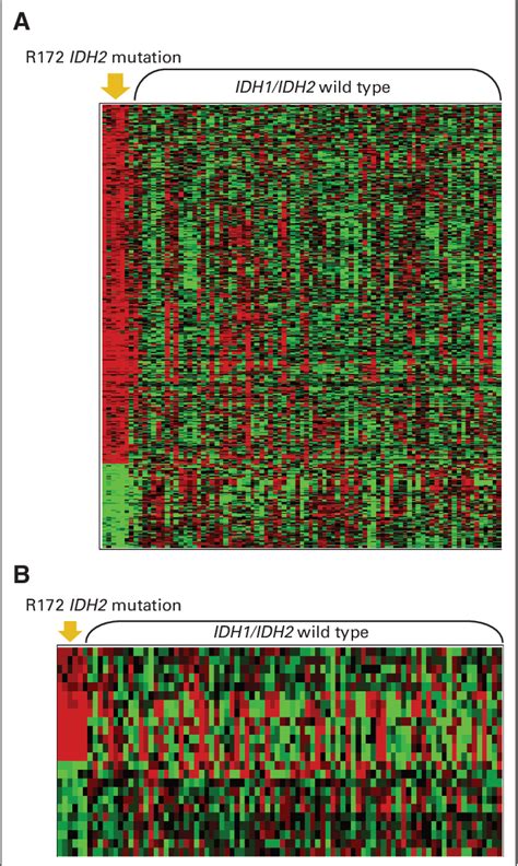 Figure From Idh And Idh Gene Mutations Identify Novel Molecular