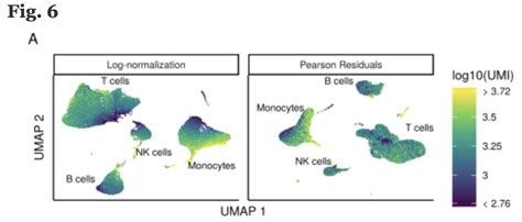 Single Cell Rna Seq Normalization Identification Of Most Variable