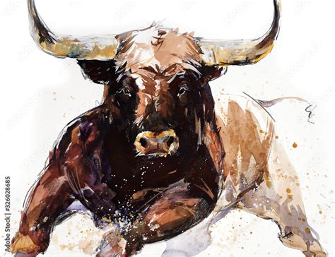 bull animal illustration watercolor hand drawn series  cattle toro