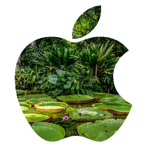 Apple invierte en proyectos de reforestación y compra de créditos de