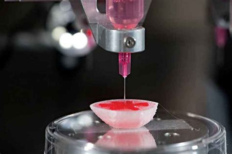 D Printed Tissue