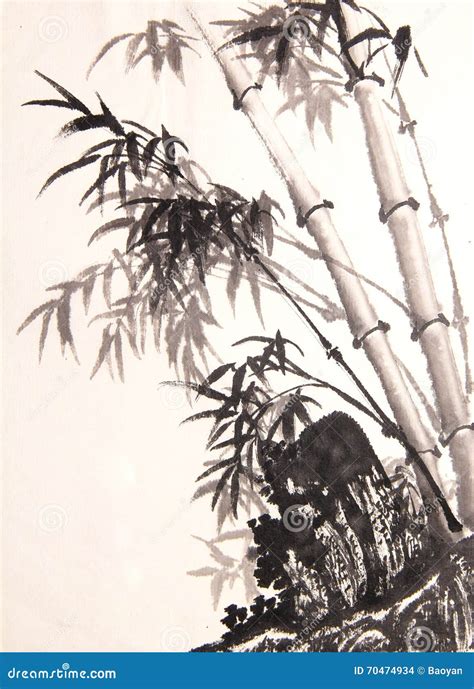 Bamboo Ink Painting Hand Drawn Stock Illustration Illustration Of