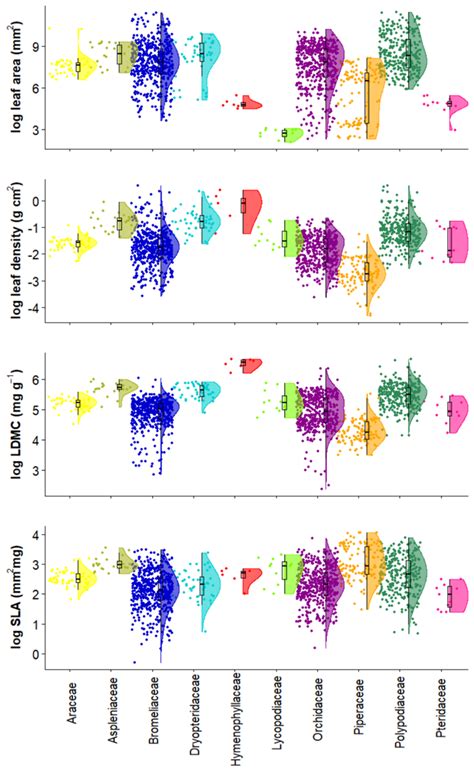 Biovera Epi A New Database On Species Diversity Community Composition And Leaf Functional