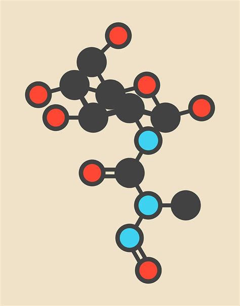 Streptozotocin Cancer Drug Molecule Photograph by Molekuul - Fine Art ...