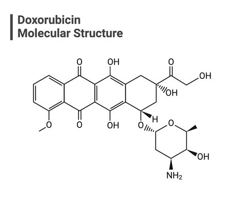 Doxorubicin Molecular Structure Biorender Science Templates