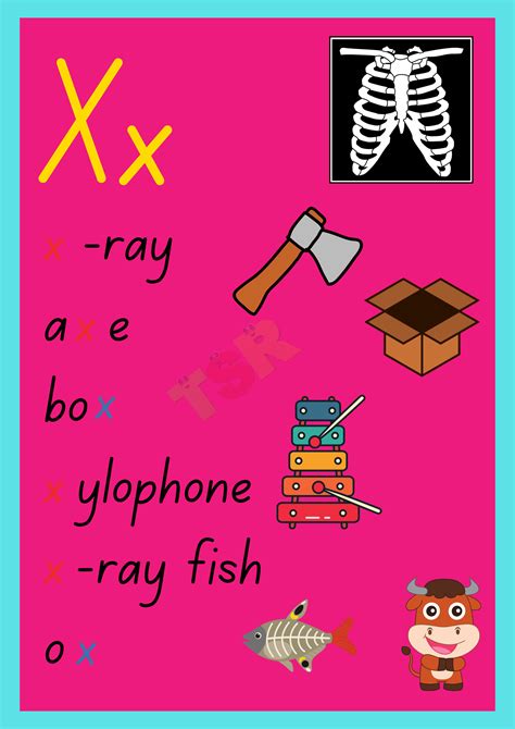 Words That Start With X For Kids Rlearnabc