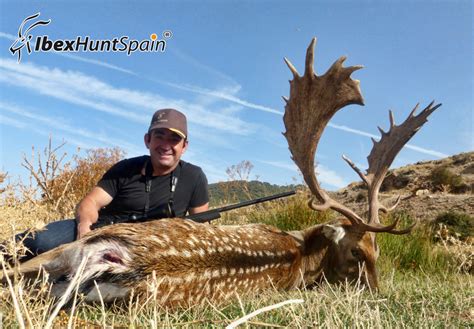 fallow-deer-hunting-in-spain-2017 (5) | Ibex Hunt Spain